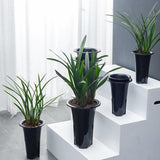 Max Maxb Plastic Plant Pots Garden Flower Pots Planters for Orchid M