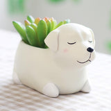 Maxbell Dog Shape Resin Succulent Pot Plant Box Fairy Garden Decoration DIY Labrador