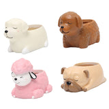 Maxbell Dog Shape Resin Succulent Pot Plant Box Fairy Garden Decoration DIY Labrador