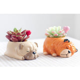 Maxbell Dog Shape Resin Succulent Pot Plant Box Fairy Garden Decoration DIY Pug