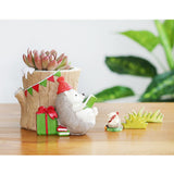 Maxbell Creative Plants Flower Pots Succulent Plants Pot with Sweet Hedgehog C