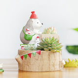 Maxbell Creative Plants Flower Pots Succulent Plants Pot with Sweet Hedgehog D