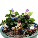 Maxbell 5x Fairy Miniature Figurine Garden Ornament Yard Decor House Accessories