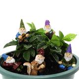 Maxbell 5x Fairy Miniature Figurine Garden Ornament Yard Decor House Accessories