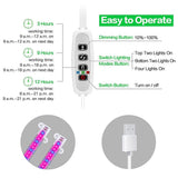 Maxbell LED Plant Grow Light Auto On / Off Timer for Greenhouse Garden Indoor Plants 2-Head Red and Blue Four-button Switch