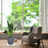 Maxbell Movable Flower Pallet Planter Moving with Invisible Wheels Tray for Indoor White 4 Wheels L