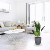 Maxbell Movable Flower Pallet Planter Moving with Invisible Wheels Tray for Indoor White 4 Wheels L
