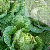 Maxbell Garden Netting Barrier Breathable Mesh for Greenhouse Farmhouse Vegetables 3m x 6m