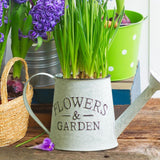 Maxbell Iron Planter Pot Flower Containers with Handle for Garden Balcony Kettle