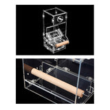 Maxbell Transparent Acrylic Automatic Bird Feeder for birds Cockatiel Parakeet S