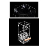 Maxbell Transparent Acrylic Automatic Bird Feeder for birds Cockatiel Parakeet S