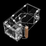 Maxbell Transparent Acrylic Automatic Bird Feeder for birds Cockatiel Parakeet S