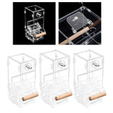 Maxbell Transparent Acrylic Automatic Bird Feeder for birds Cockatiel Parakeet S
