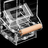 Maxbell Transparent Acrylic Automatic Bird Feeder for birds Cockatiel Parakeet S