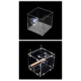 Maxbell Transparent Acrylic Automatic Bird Feeder for birds Cockatiel Parakeet S