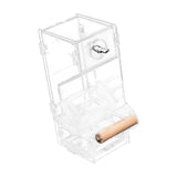 Maxbell Transparent Acrylic Automatic Bird Feeder for birds Cockatiel Parakeet M