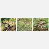 Maxbell Durable Garden Hoe Head Replacement Weeding for Gardening Planting Patio