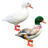 Maxbell Simulation Garden Duck Statue Miniature Animal Figurines DIY Craft  White