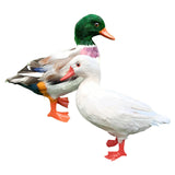 Maxbell Simulation Garden Duck Statue Miniature Animal Figurines DIY Craft  White