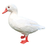 Maxbell Simulation Garden Duck Statue Miniature Animal Figurines DIY Craft  White