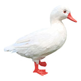 Maxbell Simulation Garden Duck Statue Miniature Animal Figurines DIY Craft  White