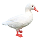 Maxbell Simulation Garden Duck Statue Miniature Animal Figurines DIY Craft  White
