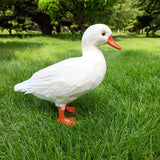 Maxbell Simulation Garden Duck Statue Miniature Animal Figurines DIY Craft  White