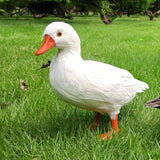 Maxbell Simulation Garden Duck Statue Miniature Animal Figurines DIY Craft  White