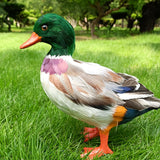 Maxbell Simulation Garden Duck Statue Miniature Animal Figurines DIY Craft  Colorful