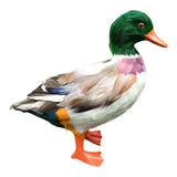 Maxbell Simulation Garden Duck Statue Miniature Animal Figurines DIY Craft  Colorful