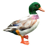 Maxbell Simulation Garden Duck Statue Miniature Animal Figurines DIY Craft  Colorful