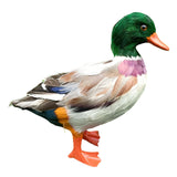 Maxbell Simulation Garden Duck Statue Miniature Animal Figurines DIY Craft  Colorful