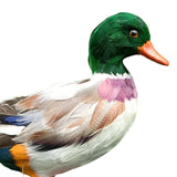 Maxbell Simulation Garden Duck Statue Miniature Animal Figurines DIY Craft  Colorful