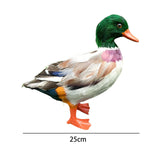 Maxbell Simulation Garden Duck Statue Miniature Animal Figurines DIY Craft  Colorful