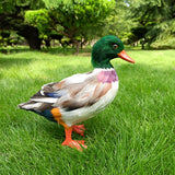 Maxbell Simulation Garden Duck Statue Miniature Animal Figurines DIY Craft  Colorful