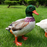 Maxbell Simulation Garden Duck Statue Miniature Animal Figurines DIY Craft  Colorful