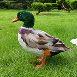 Maxbell Simulation Garden Duck Statue Miniature Animal Figurines DIY Craft  Colorful