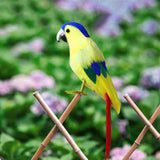 Maxbell Artificial Feathered Macaw Realistic Bird Parrot for Pathway Photo Props Yellow
