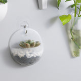 Maxbell Wall Hanging Planters Decoration Medium Holder Cactus for Home Birthday styleA