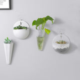 Maxbell Wall Hanging Planters Decoration Medium Holder Cactus for Home Birthday styleA