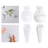 Maxbell Wall Hanging Planters Decoration Medium Holder Cactus for Home Birthday styleA