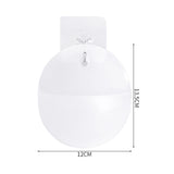 Maxbell Wall Hanging Planters Decoration Medium Holder Cactus for Home Birthday styleA