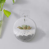 Maxbell Wall Hanging Planters Decoration Medium Holder Cactus for Home Birthday styleA