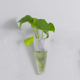 Maxbell Wall Hanging Planters Decoration Medium Holder Cactus for Home Birthday styleC