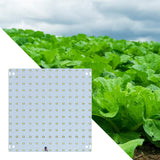 Maxbell LED Grow Light Waterproof Full Grow Light for Indoor Plants Seeds Purple and Pink 169 Leds