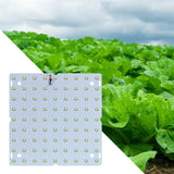 Maxbell LED Grow Light Waterproof Full Grow Light for Indoor Plants Seeds Warm Light 81 Leds