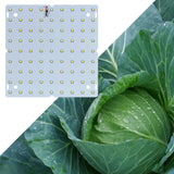 Maxbell LED Grow Light Waterproof Full Grow Light for Indoor Plants Seeds Warm Light 81 Leds