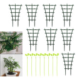 Maxbell Garden Trellis Small Plant Trellis Plants Indoor for Potted Plants Cucumber