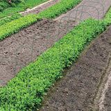Maxbell Planter Support Stakes Greenhouse Clamp Greenhouse Film Clamps Grow Tunnel 10pcs