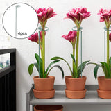 Maxbell Vegetable Holder Bracket Support Holder Gardening Supplies for Flowers 50CM